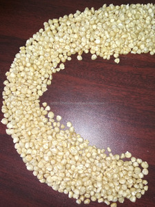 Maïs blanc pour la consommation humaine - Product Image 4