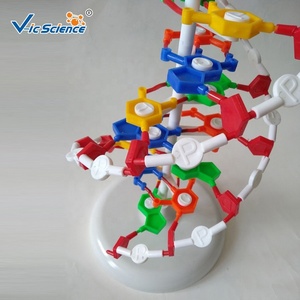 Biology <strong>Model</strong> Advanced School Education DNA <strong>Model</strong> Medical <strong>Science</strong> Education <strong>Model</strong> - Product Image 3