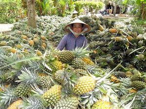Coupe-tranches d'ananas en boîte légère, 1 pièce, 2020 - Product Image 5