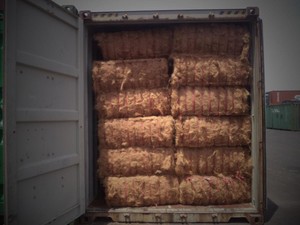 El mejor proveedor de fibra de coco de Vietnam - Product Image 3