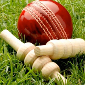 Bolas de grillo de cuero de tono duro, profesionales, hechas A medida - Product Image 1