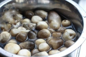เห็ดฟางเค็มสดจากเวียดนาม/ คุณภาพสูง/ อร่อย - Product Image 3