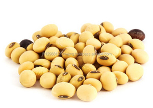 Soja vert organiques naturel jaune, 1 pièce, produits agricoles vert - Product Image 3