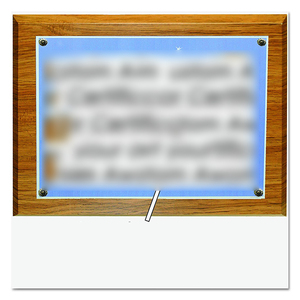 Blanc plaque de récompense en <span class=keywords><strong>bois</strong></span> dans La Décoration De La Maison Utilisation - Product Image 3