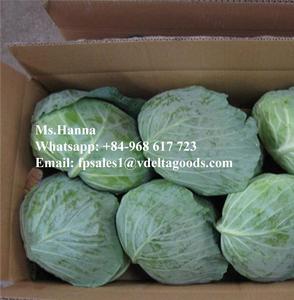 Repollo Verde Natural del Delta de Vietnam, Entero/En Rodajas, Seco, Caja de 10 kg - Product Image 5