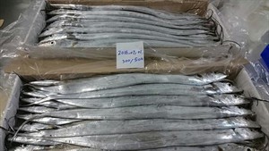 Paquete a granel certificado HACCP & ISO de 10kg de pescado de cinta congelado seco entero de alta calidad al por mayor precio bajo al por mayor - Product Image 3