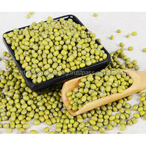 ถั่วเขียวไทยคุณภาพดี - Product Image 2