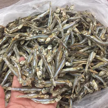 Quality High Nutritive Dry Anchovy Fish/ KATIE +84352310575