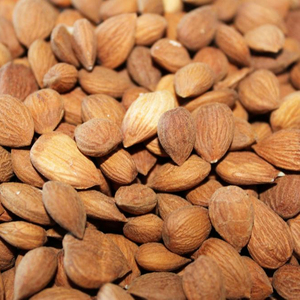 Amandes d'abricot amères de qualité supérieure, grade 1, disponibles à bas prix. Demi-abricots en conserve, fruits en conserve dans un sirop léger. - Product Image 1