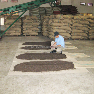Offre Spéciale Poivre Noir du Vietnam 550GL Nettoyé à la Machine Qualité Supérieure Épice Naturelle Séchée Vente en Gros Prix Usine Exportation - Product Image 4