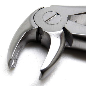 Forceps dentaires à poignée moletée pour chirurgie d'extraction dentaire, instrument allemand en acier inoxydable 2026 - Product Image 4