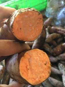 Patate douce organique avec grande quantité, bleue naturelle - Product Image 2