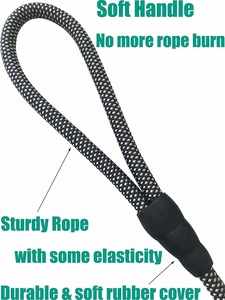 Laisse en Nylon pour chien, robuste et épais, laisse pour animaux de compagnie, 5 pieds - Product Image 4