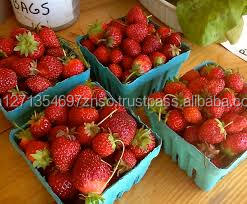 Baya de Goji seca y Gojiberry orgánico PEDIDO AHORA - Product Image 3