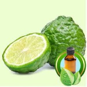 <b>Best</b> Quality Bergamot Oil From India - Product Image 4