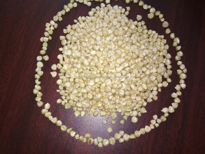 Maïs blanc sec indien pour l'alimentation animale au prix le plus bas - Product Image 2