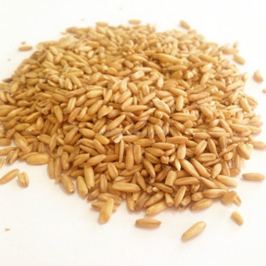 Sièges à billes de laine d'oie de qualité 1, pour animaux, en promotion - Product Image 1