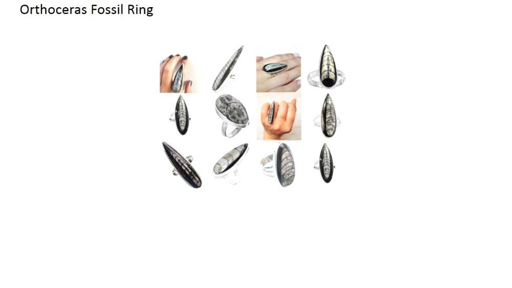 ตามภาพที่เห็น