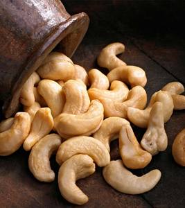 REFINED and RAW CASHEW <b>NUT</b> OIL for MANY USES - Product Image 4