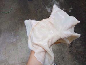 น้ำเชื่อมมะพร้าวแท้ 100% สำหรับของหวาน ปี 2022/น้ำเชื่อมเจลลี่มะพร้าว รสธรรมชาติ สำหรับตกแต่งชานม - Product Image 3