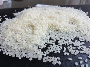 Arroz Japonés Calrose de Grano Corto, Seco, Redondo y de Textura Suave - Product Image 2