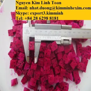 Bevroren Fruit/Bevroren Dragon Fruit Pulp Iqf Vacuüm Verpakking Gemeenschappelijke Bulk