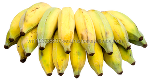 กล้วยสุกสีเหลืองขนาดใหญ่-กล้วยสยามพิเศษจากเวียดนาม/กล้วยสด - Product Image 3