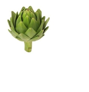 Alcachofa congelada-Polvo de alcachofa - Product Image 6