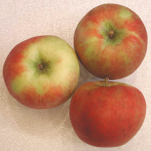 Manzanas Red Delicious de Primera Calidad en Paquete a Granel, Fruta de la Tierra, 8.5 kg con 2 Años de Duración, de Sudáfrica - Product Image 5