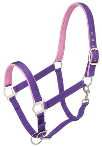 Accesorios ecuestres cabestro de caballo de sillín inglés acolchado de nailon rosa con herrajes satinados - Product Image 4
