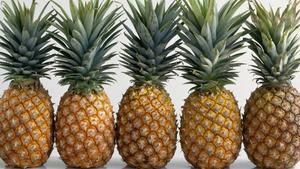 Piñas Frescas de Alta Calidad / Frutas Tropicales y Subtropicales / Certificación HACCP / Tamaño 15-20cm / Venta al por Mayor - Product Image 4