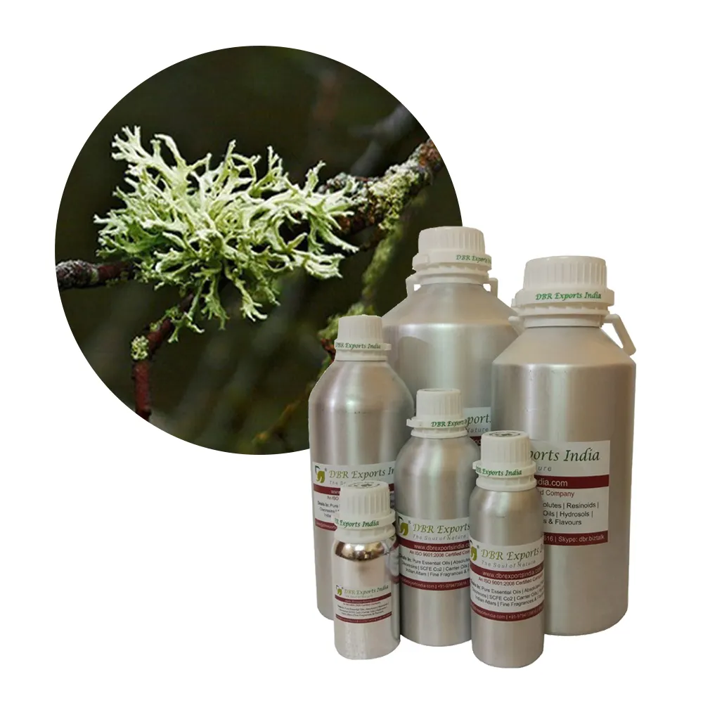 Oakmoss Resinoid Oil Botanical name Evernia Furfuracea Bulk Supplier of Oakmoss Resinoid Oil