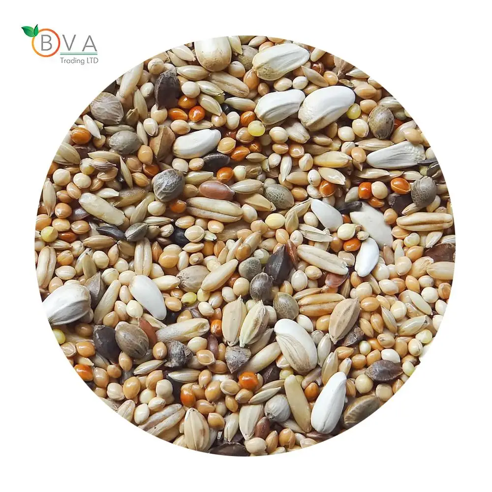 pellet food for parrot