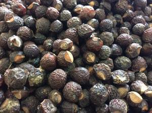 High Quality Natural Soap <b>Nuts</b> for Laundry - Product Image 4