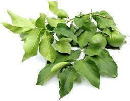 Livraison rapide citron séché/barre chauffante et pelures de citron froid/citron sec - Product Image 3