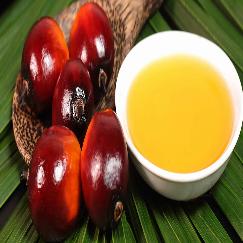Prezzo a buon mercato Indonesia Malaysia greggio olio di palma per la vendita