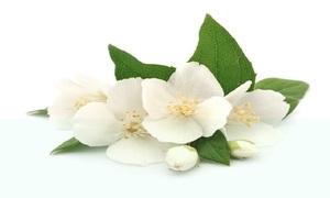 Huile Essentielle de Jasmin Biologique Pure Aromacare Distillée à la Vapeur pour la Fabrication de Parfums, Anti-rides, Éclaircissante et Hydratante - Product Image 3