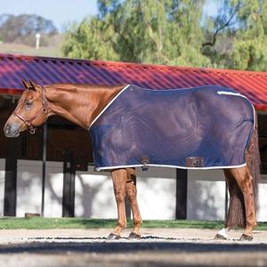 Alfombra de temporada 2020 con 4 carcasas usset/ussie llrounder. - Product Image 3