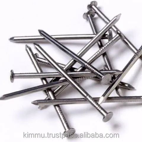 Top Grade Polished Common Wire Steel Nail