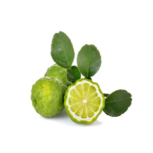 Aceite Esencial de Bergamota Puro Certificado Orgánico, Prensado en Frío, Revitalizador de Piel, Venta al Por Mayor para Removedor de Esmalte de Uñas y Aceites para Perfumes - Product Image 3