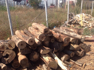 Ash leña 10-15% de humedad - Product Image 3