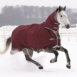 Couverture d'hiver pour chevaux, utilisation dressage, combo imperméable et respirant, haute qualité, matériau RIPSTOP ovale, doublure en coton, rembourrage en polyfill - Product Image 4