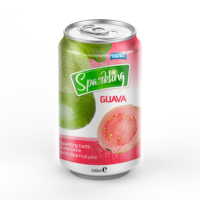 Tan Do Drank 330Ml Blikje Sprankelende Verse Palmyra Fruitdrankpuree Watermeloen Hoofdingrediënt Gezonde Haccp/Iso/Halal