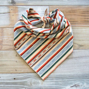 Serape de perro Azul pizarra sarape Bandana de Cinco de Mayo Bandana lazo en Bandana - Product Image 1