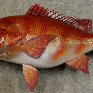 เนื้อปลาสแนปเปอร์แดงแช่แข็ง ติดหนังและไม่ติดเกล็ด ไม่มีก้าง เกรดเอ รูบี้สแนปเปอร์ บรรจุภัณฑ์สุญญากาศ คาร์โบไฮเดรตต่ำ - Product Image 2