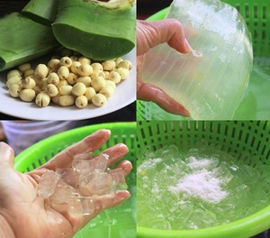 ว่านหางจระเข้/ว่านหางจระเข้เจลลี่โซฟี - Product Image 3