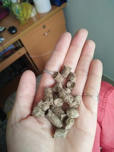 Mejor Bagazo de Caña de Azúcar para Pulpa de Embalaje Ecológica, Residuos Agrícolas, Bagazo de Caña de Azúcar Seco y Fermentado para Alimento de Ganado - Product Image 3
