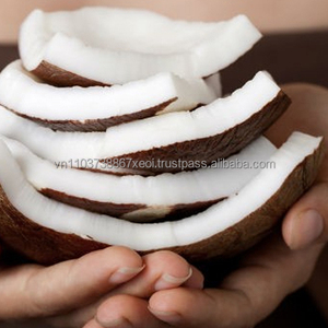 100% Bol de noix de coco biologique/lait de coco/noix de coco en 2024 - Product Image 3