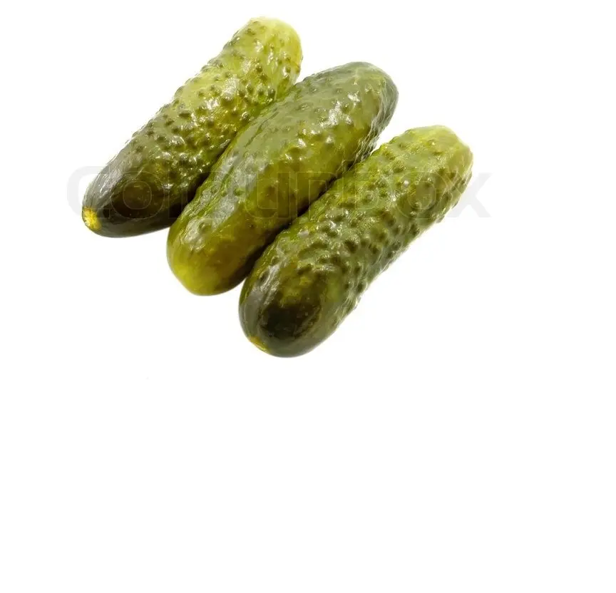 Pickle gurke VIETNAM PRESERVED PICKLES IN GLASS JAR / Whatsapp + 84-845-639-639