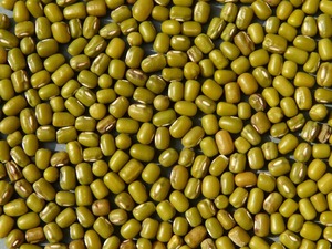 Granos Verdes Enteros (Moong Dal) Secos a Granel de Alta Calidad a Bajo Precio - Product Image 2
